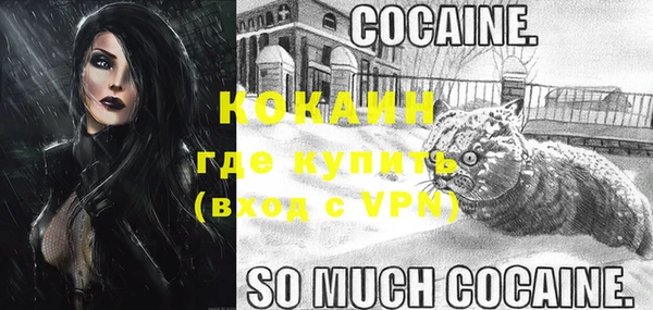 a pvp Аркадак