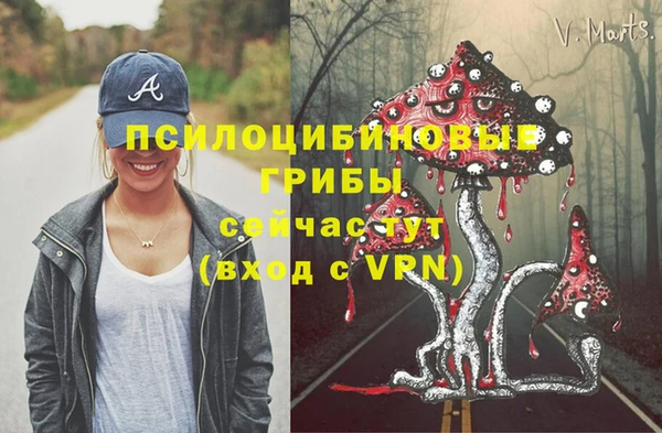 а пвп мука Арсеньев