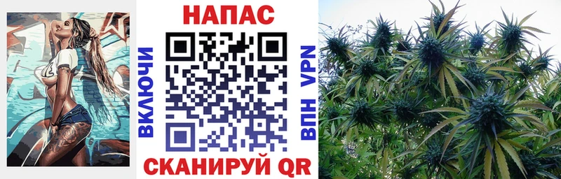 Конопля конопля  Рошаль 